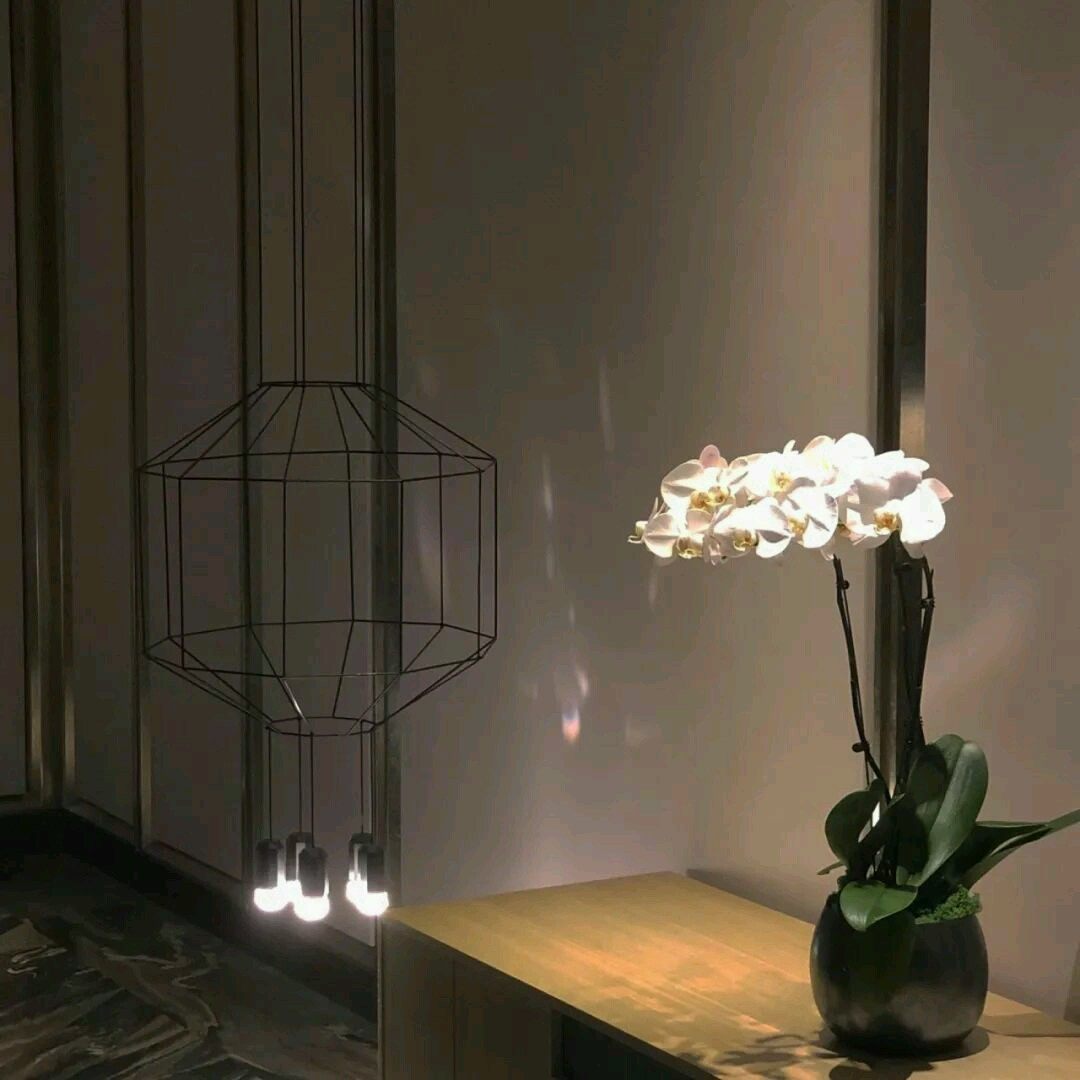 未來有什么行業好發展-企貝網