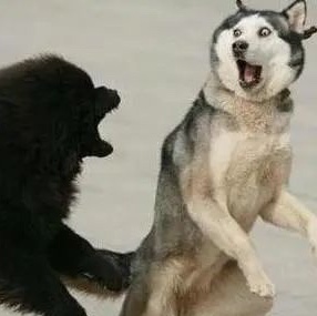 融資租賃公司如何注冊設立條件-企貝網