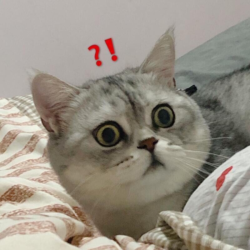 【金融外包還可以新注冊(cè)嗎】-企貝網(wǎng) 金融外包還可以新注冊(cè)嗎-企貝網(wǎng)