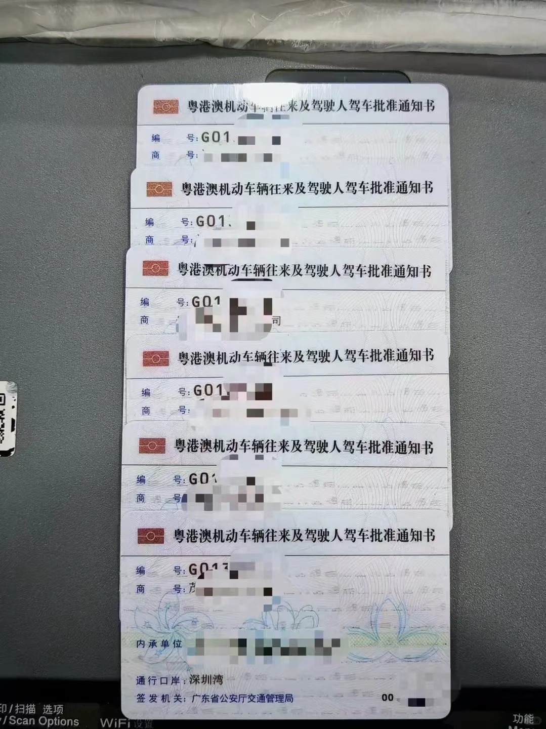 深圳灣，大橋，現牌-企貝網